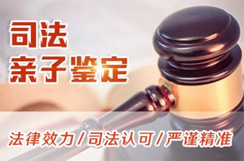淮安司法DNA亲子鉴定流程,淮安司法DNA亲子鉴定哪里做的准