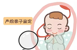 淮安胎儿亲子鉴定条件和流程，淮安孕期亲子鉴定费用